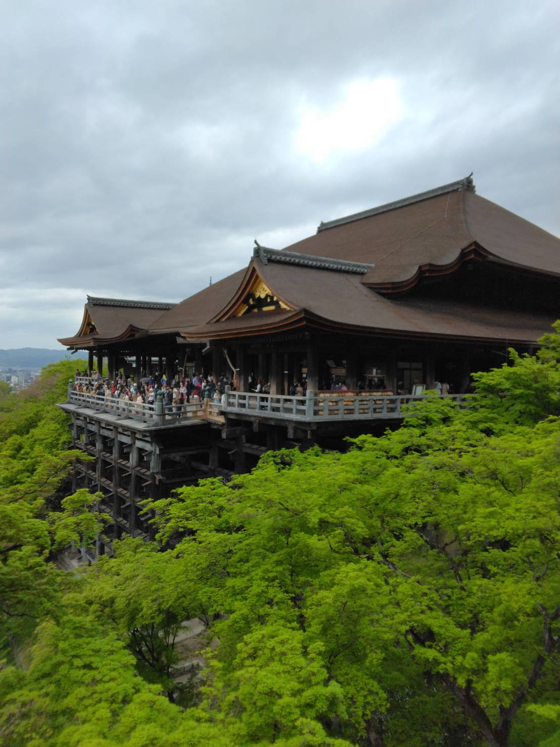 京都に行ってきました(^^)/